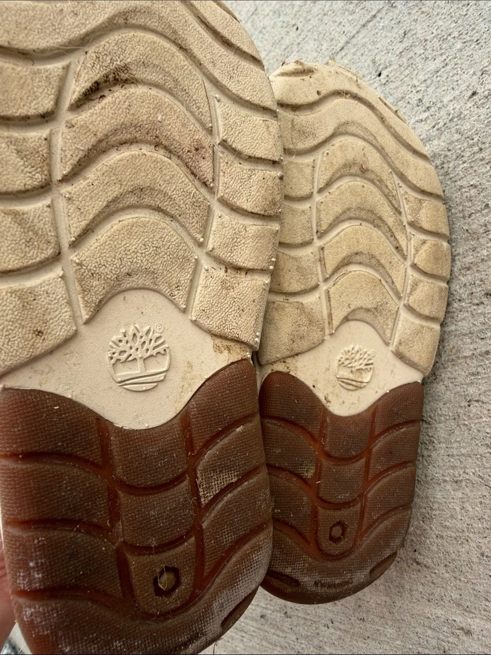Timberland boots toddler boy size 6